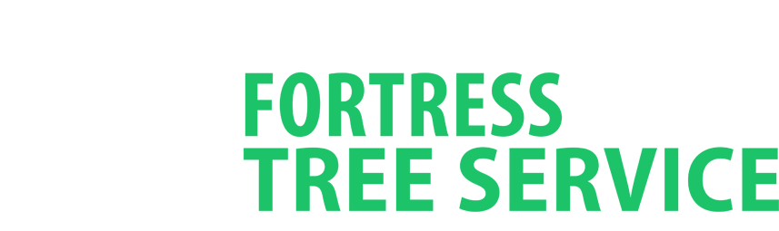 Fortress Tree Service Bellevue